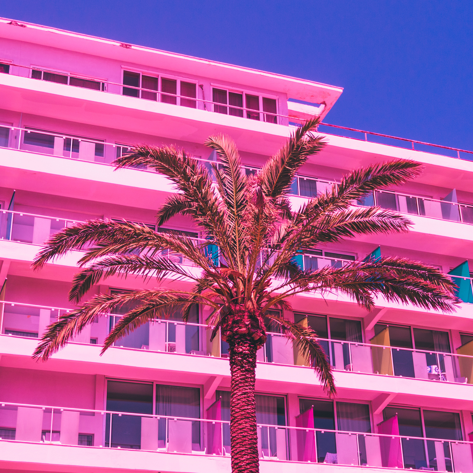 Pink Palm Trees and Hotel